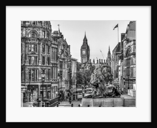 Trafalgar Square, London, UK by Assaf Frank